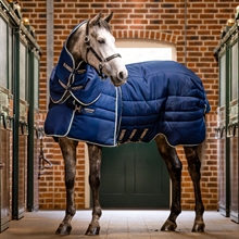Horseware Rambo Optimo stable Plus 400gram